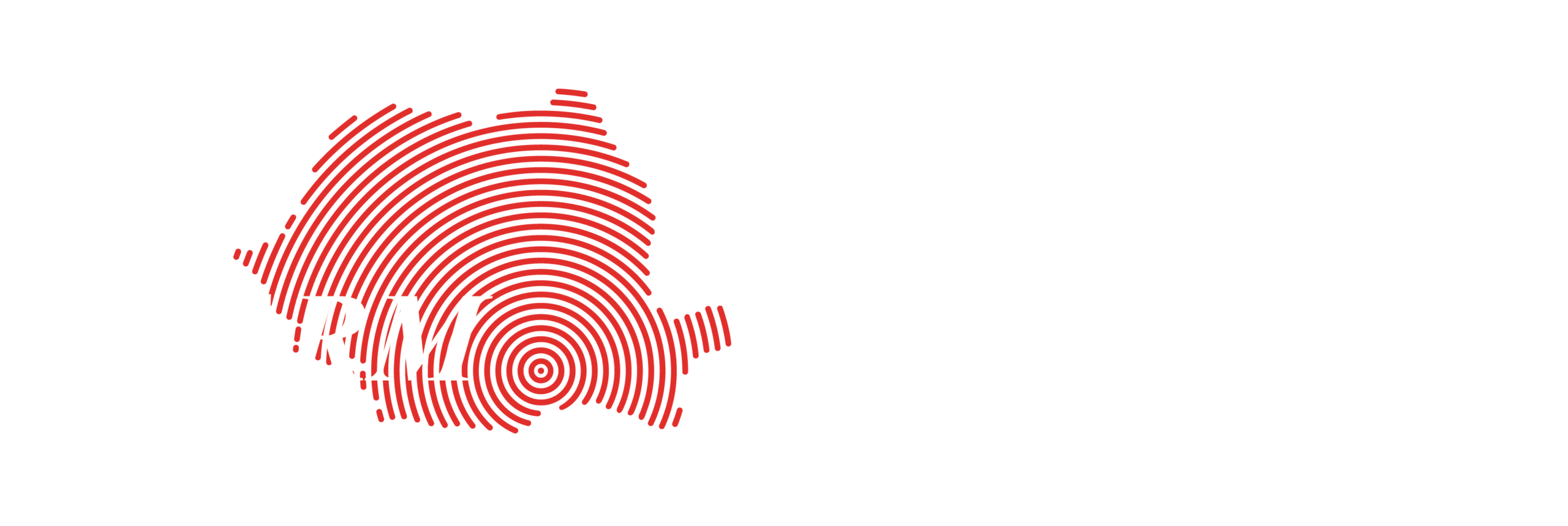 Partidul ARM